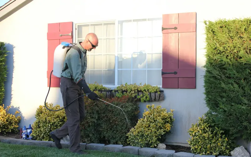 A pest control technician spraying the garden beds along a house